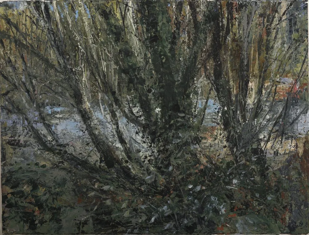 Donald Teskey, Lee Valley Nature Reserve, 2016