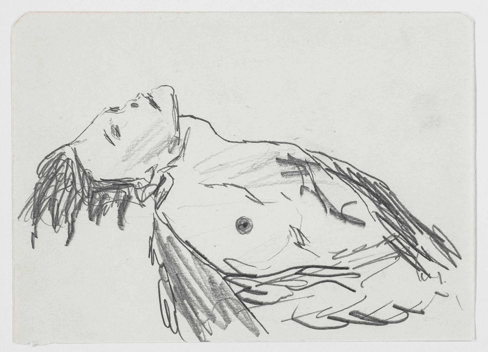 Peter Friedl, Untitled, 2013