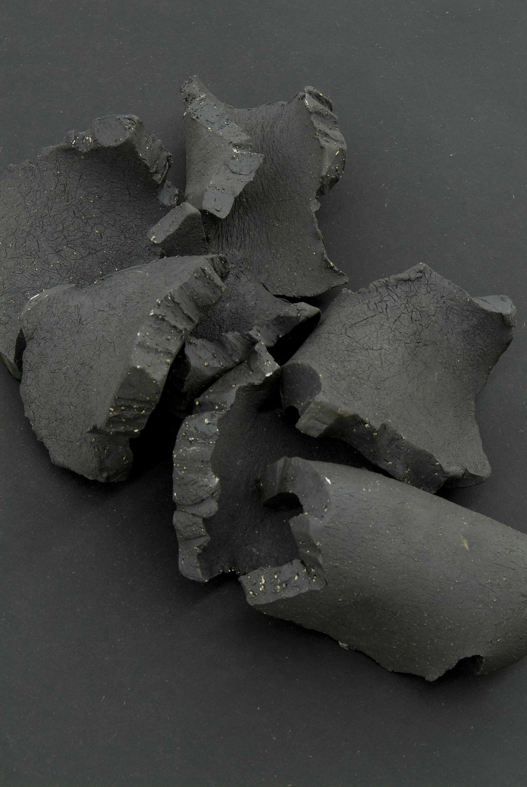 Lili Dujourie, Sonate B1, 2007