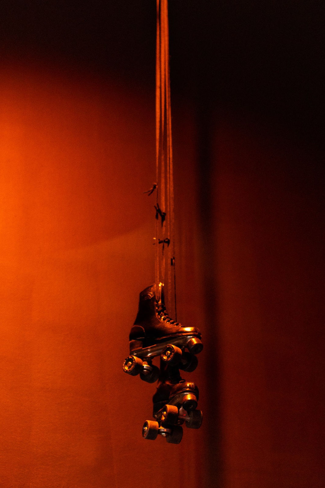 Caecilia Tripp, Scoring the Black Hole, 2016