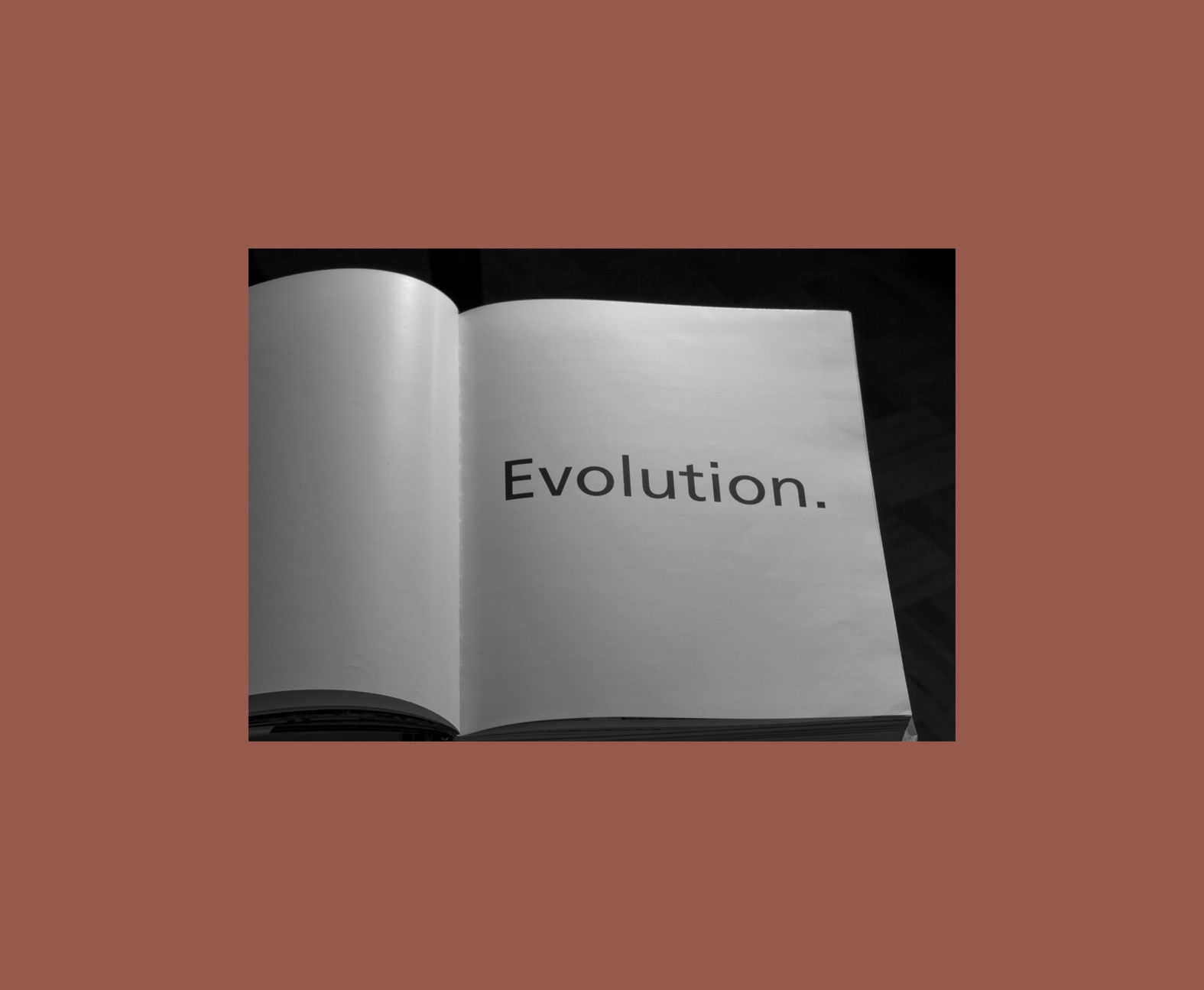 Suzanne Lafont, The First two hundred fifty five pages of Project on the City 2, Harvard Design School, GUIDE TO SHOPPING, 2014