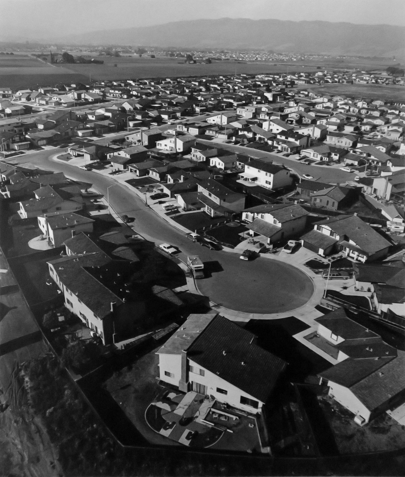 Bill Owens, I enjoy cooking, dogs, cats, kids, soccer and living here, from Suburbia series, 1972