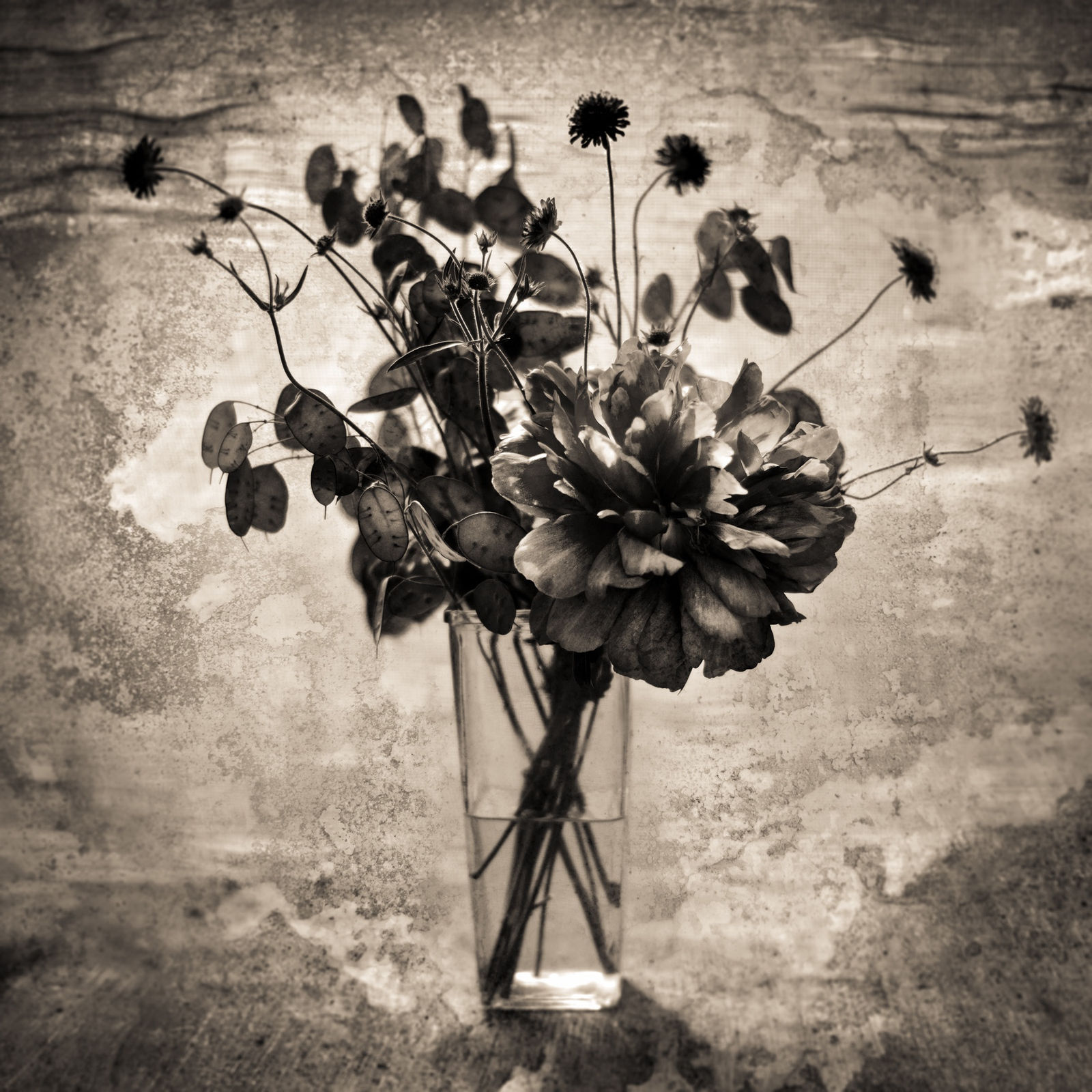 Keith Carter, Greenhouse, 2019