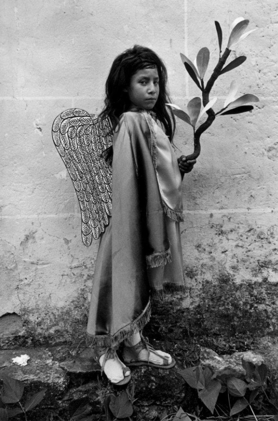 Graciela Iturbide, Angelito mexicana, Chalma, Mexico, 1984