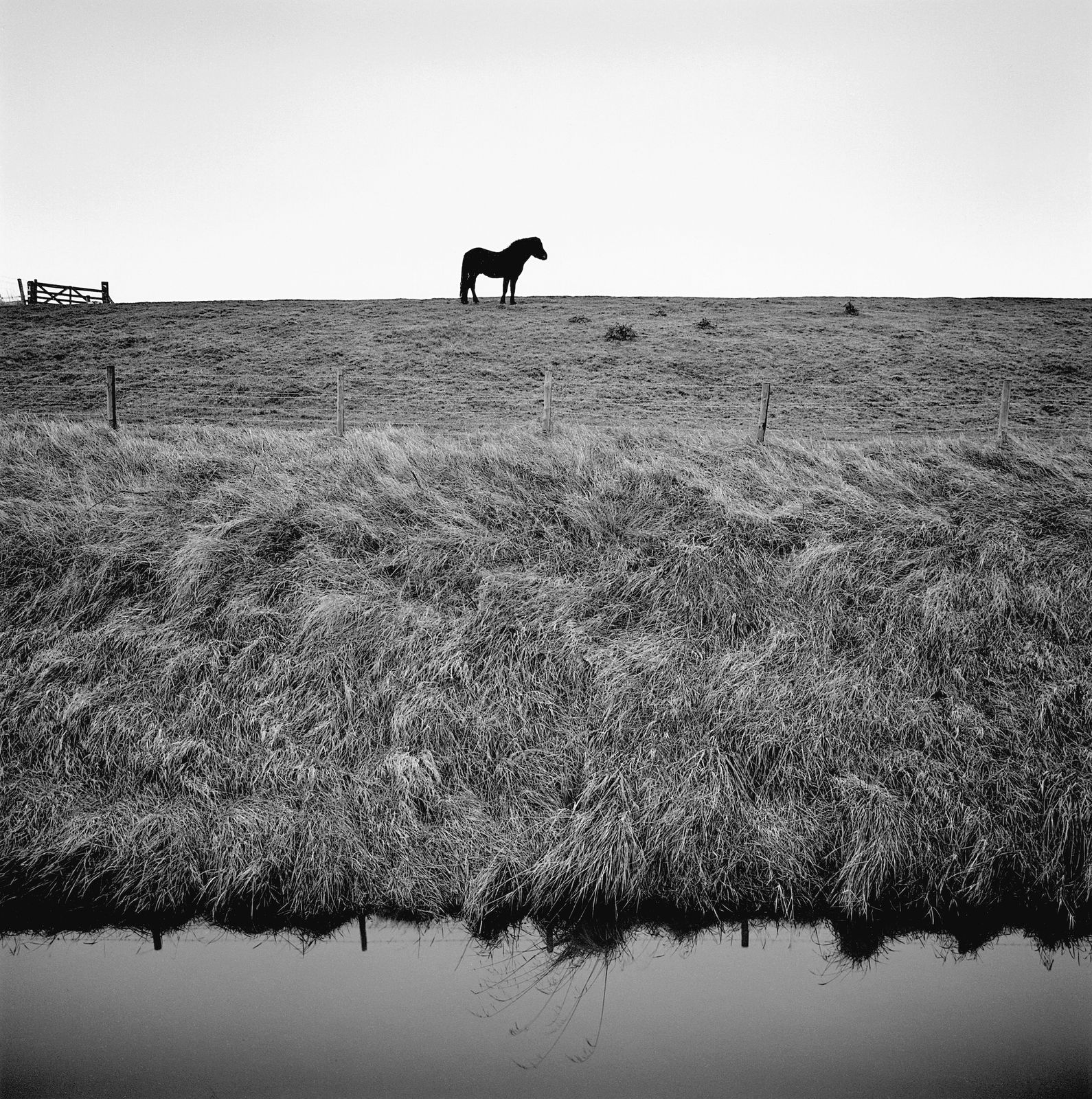 Paul Hart, Sea Bank, 2016