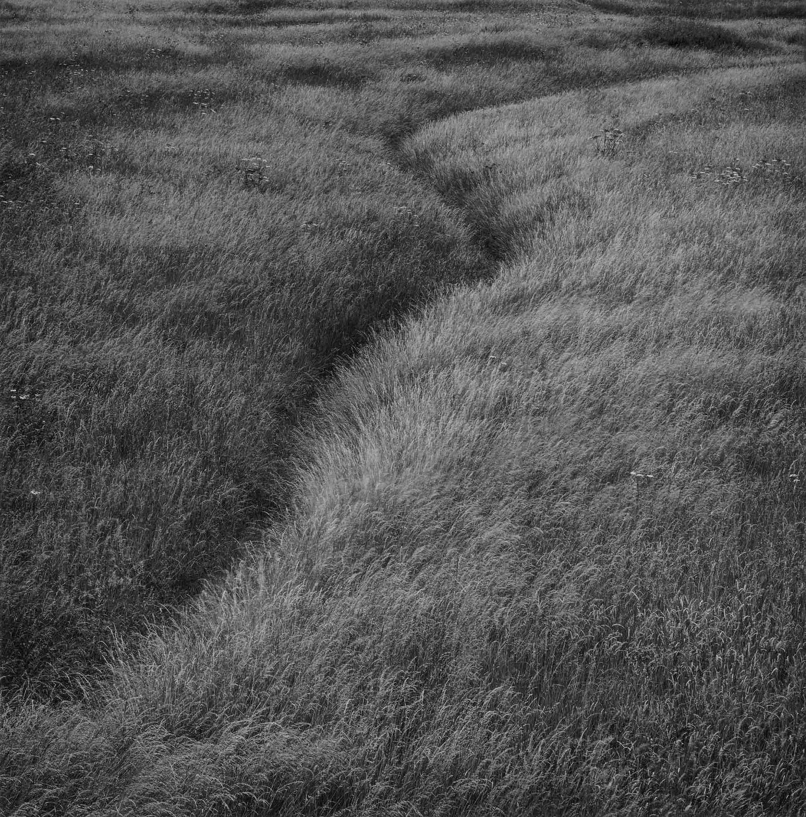 Paul Hart, July I, 2020-2024