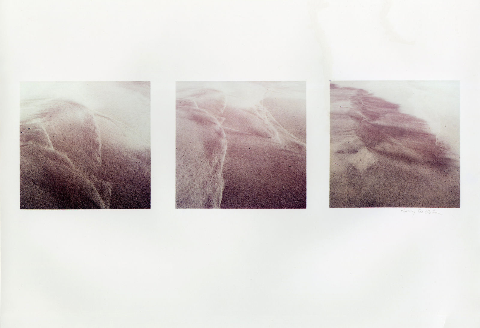 Harry Callahan, Cape Cod , 1976