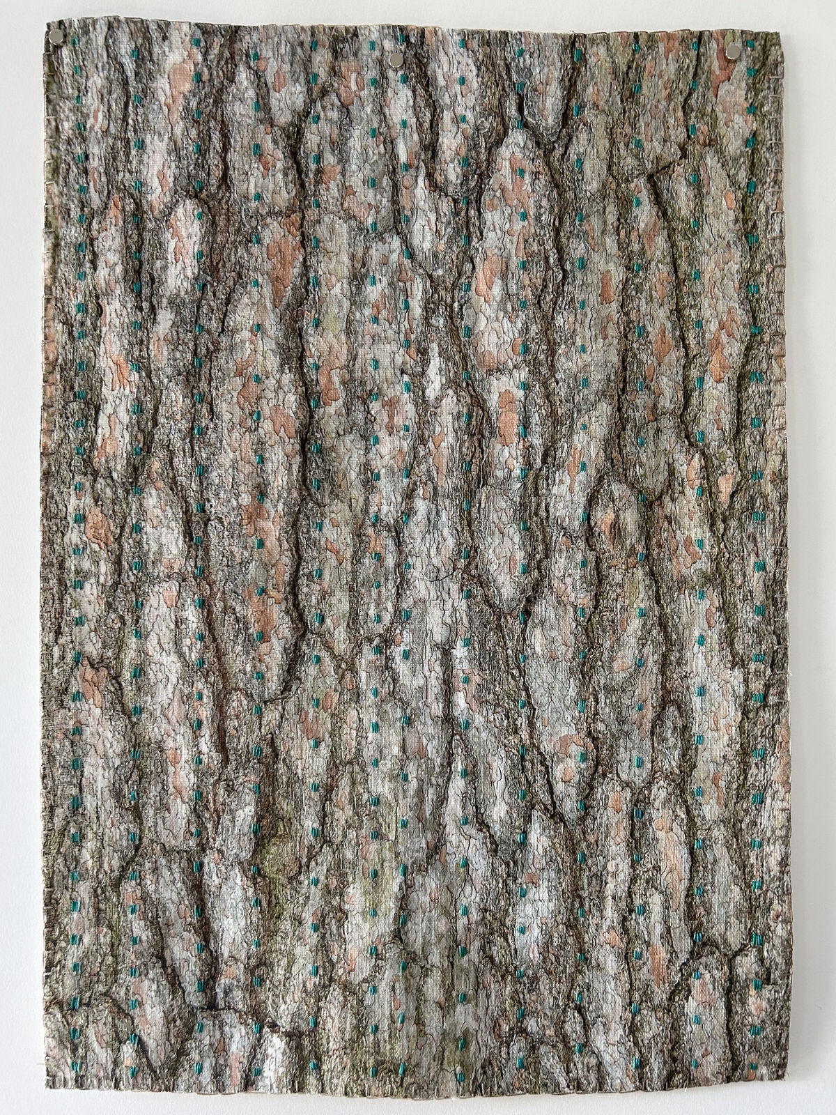 Laurie Lambrecht, Bronx , 2019