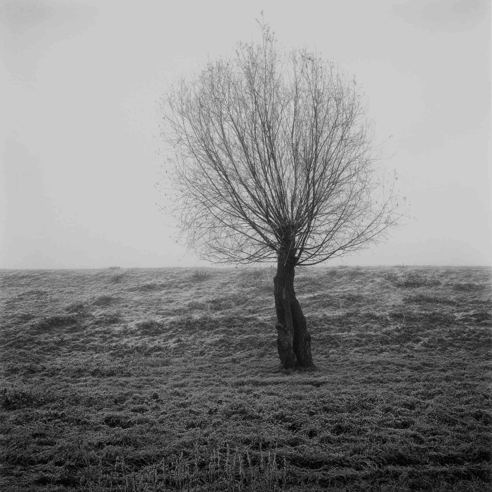 Paul Hart, December IX, 2020-2024