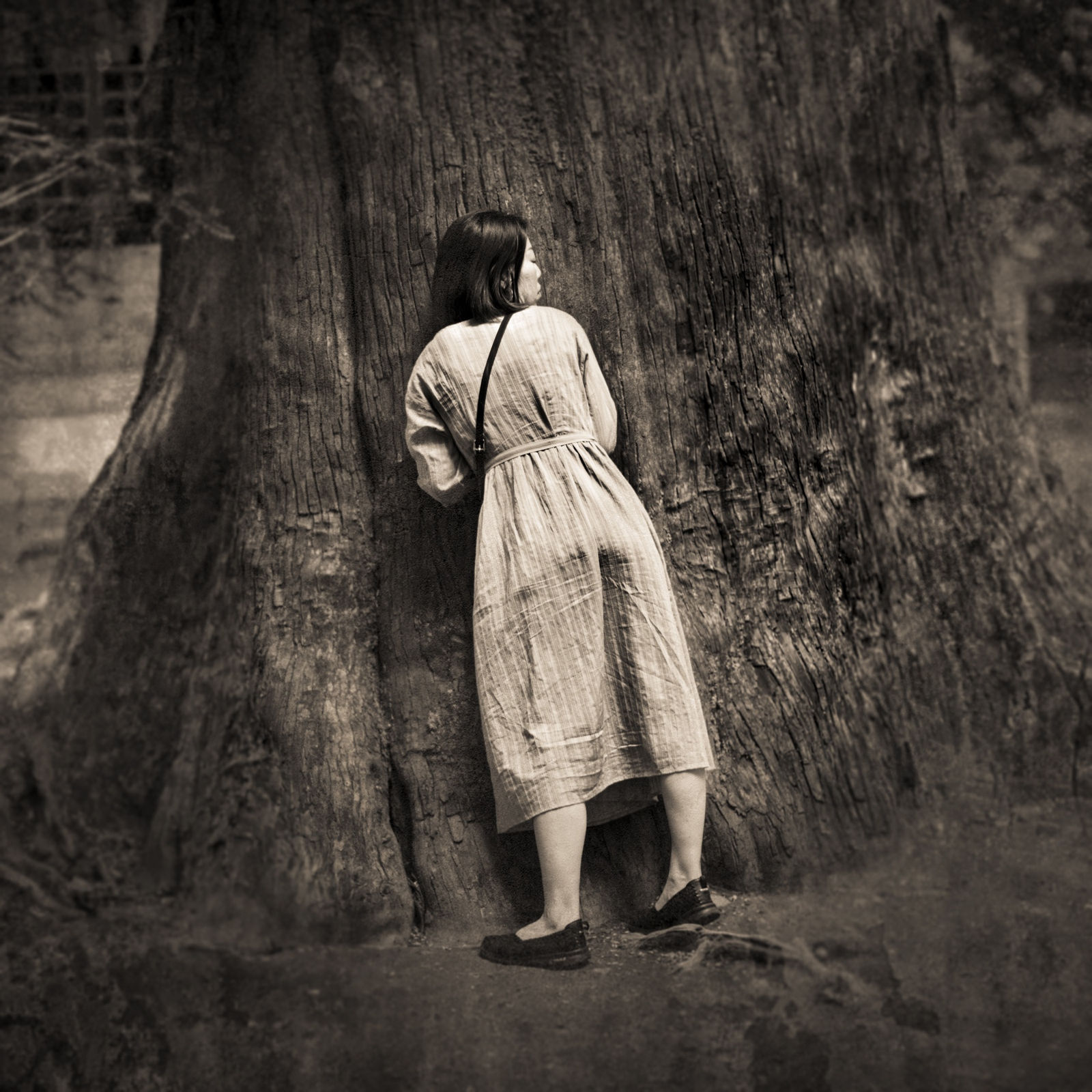 Keith Carter, Listening Tree, 2019