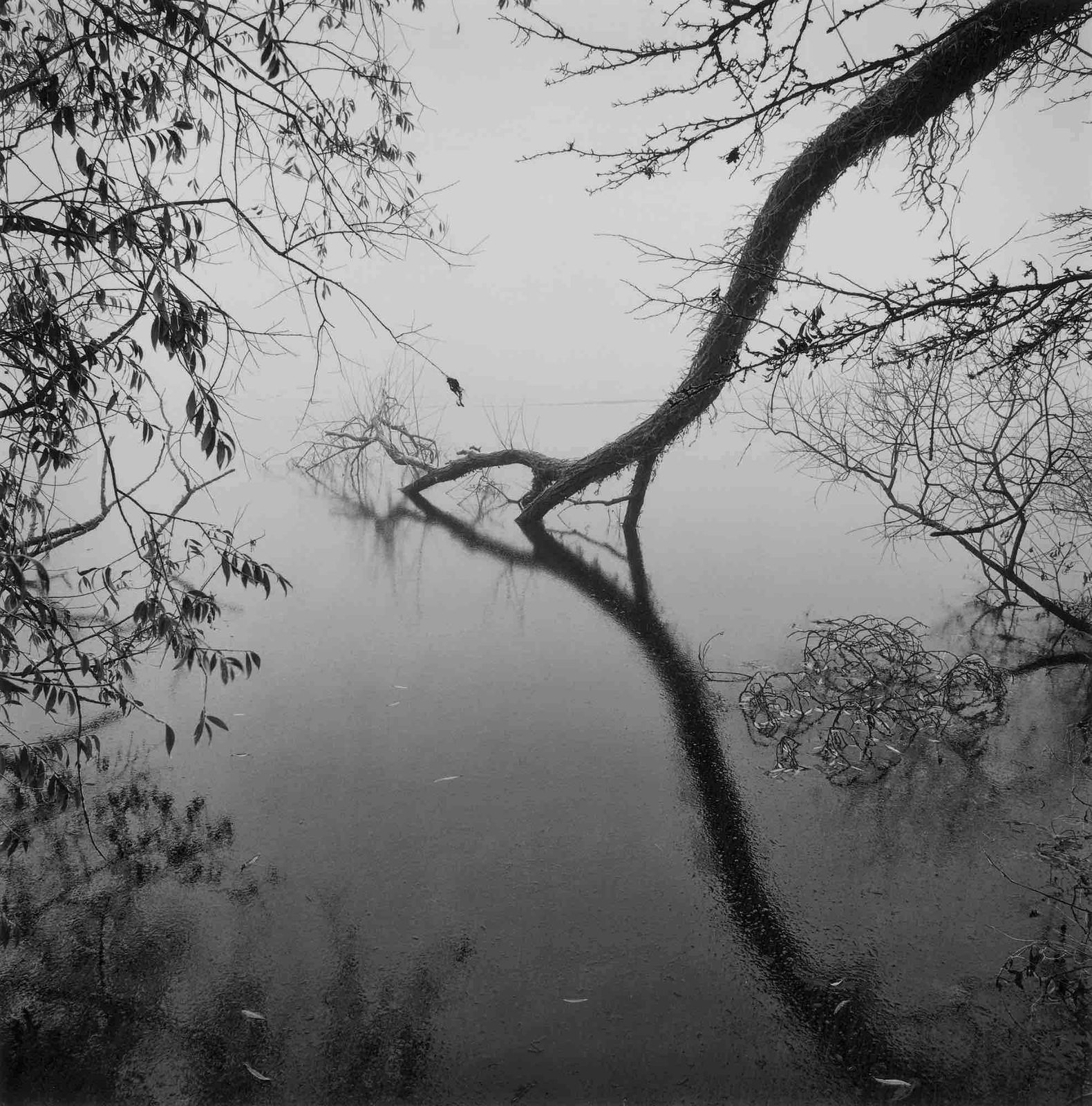 Paul Hart, December V, 2020-2024