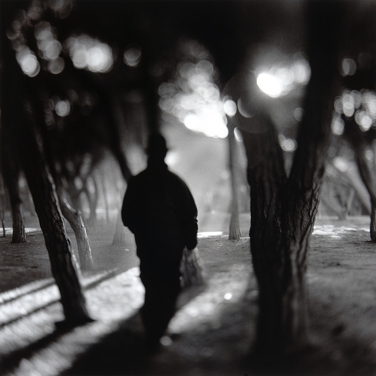 Keith Carter, Morning Walk , 2000