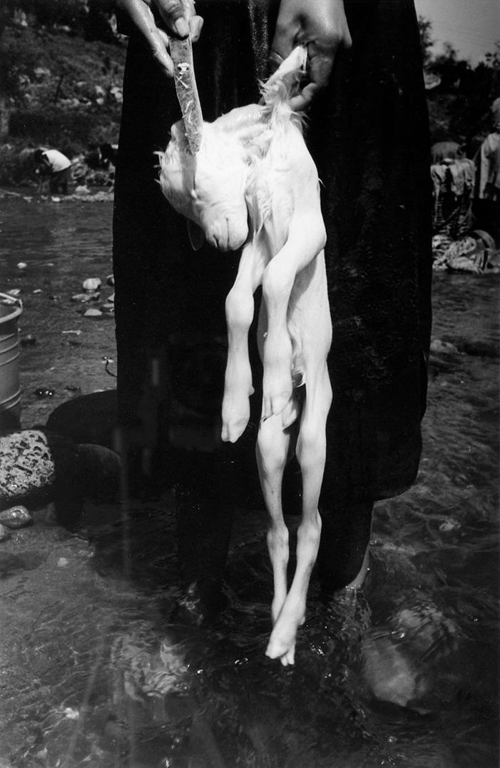 Graciela Iturbide, El sacrificio, En el nombre del padre, La Mixteca, México, 1992