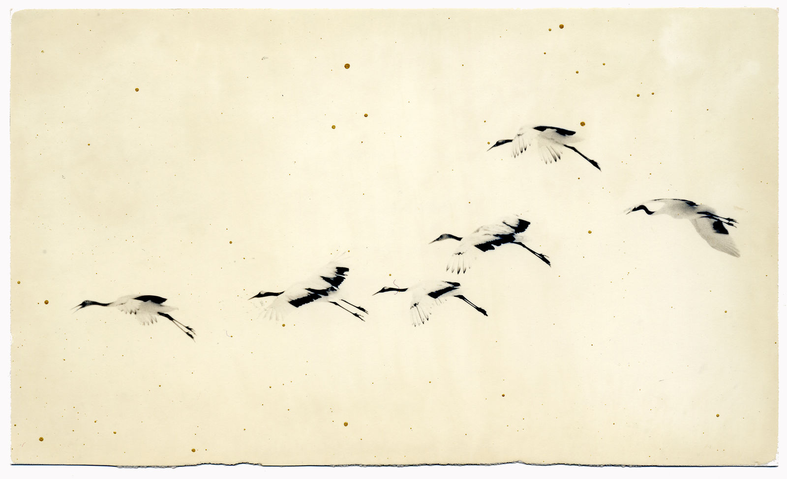 Yamamoto Masao, #1349 from Nakazora, 2004