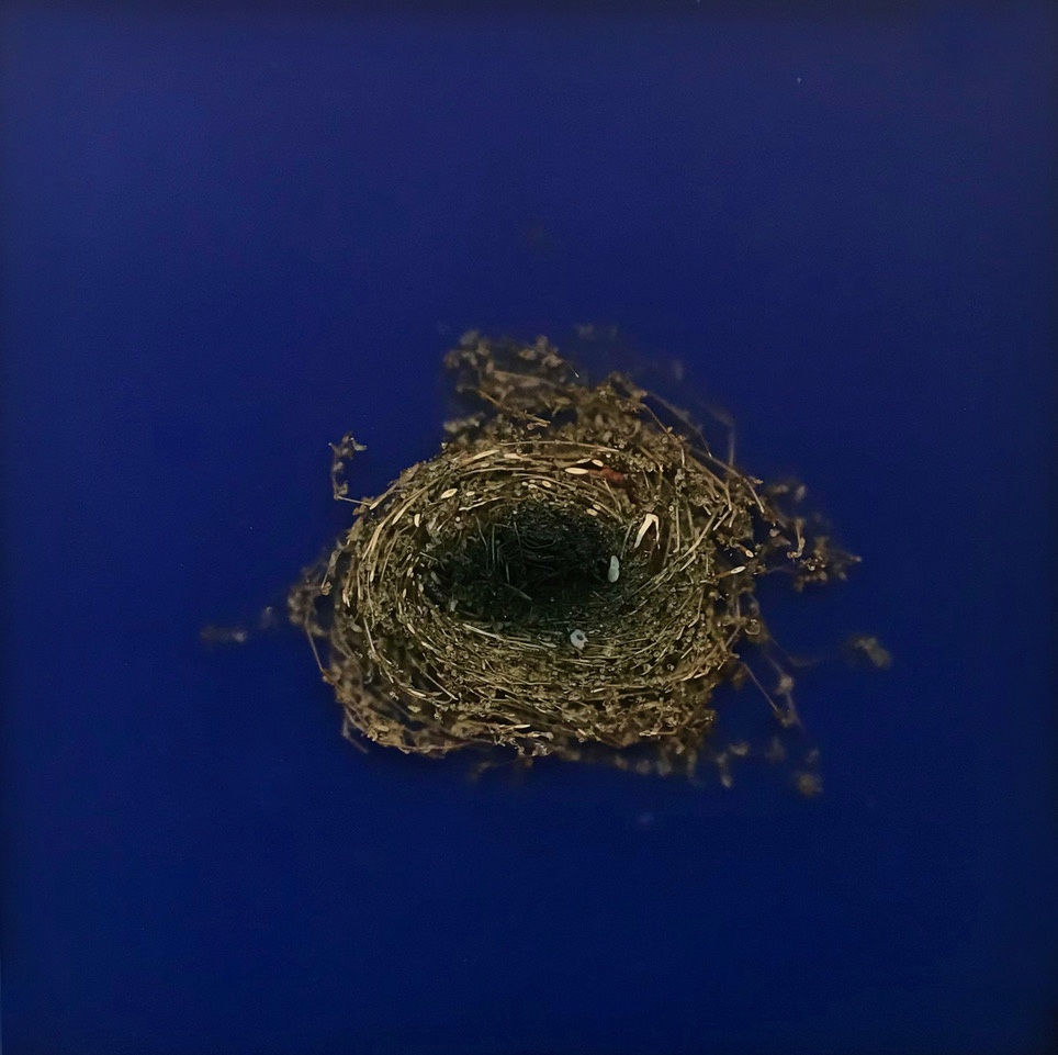 Mayme Kratz, Knot 349, 2020