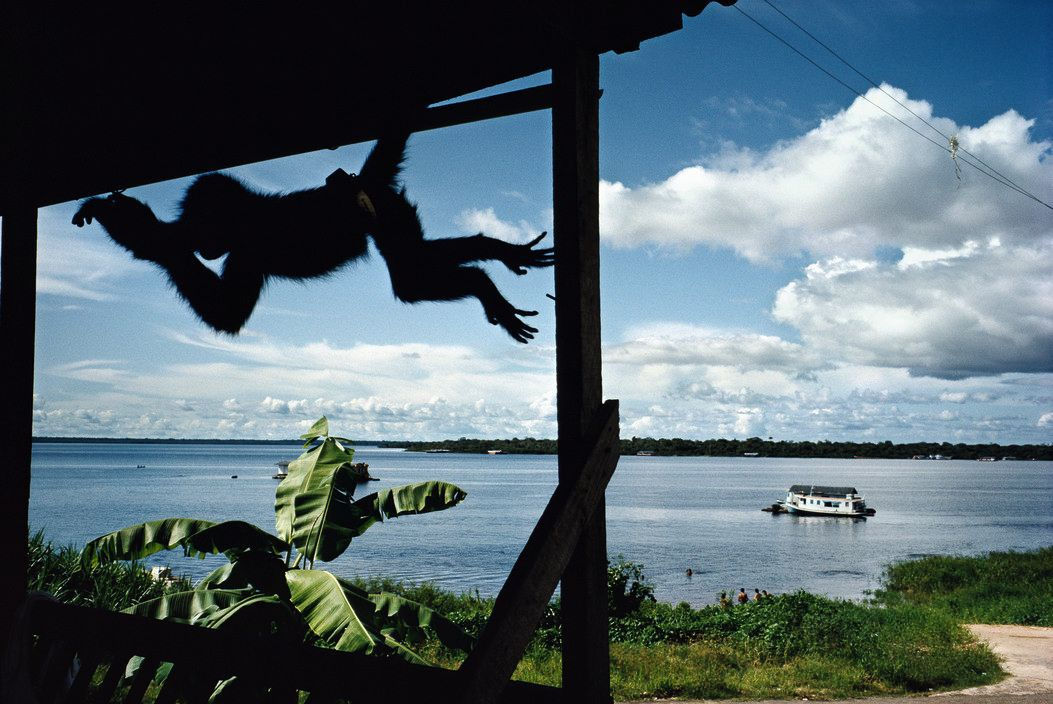 Alex Webb, Tefé, Brazil, 1993