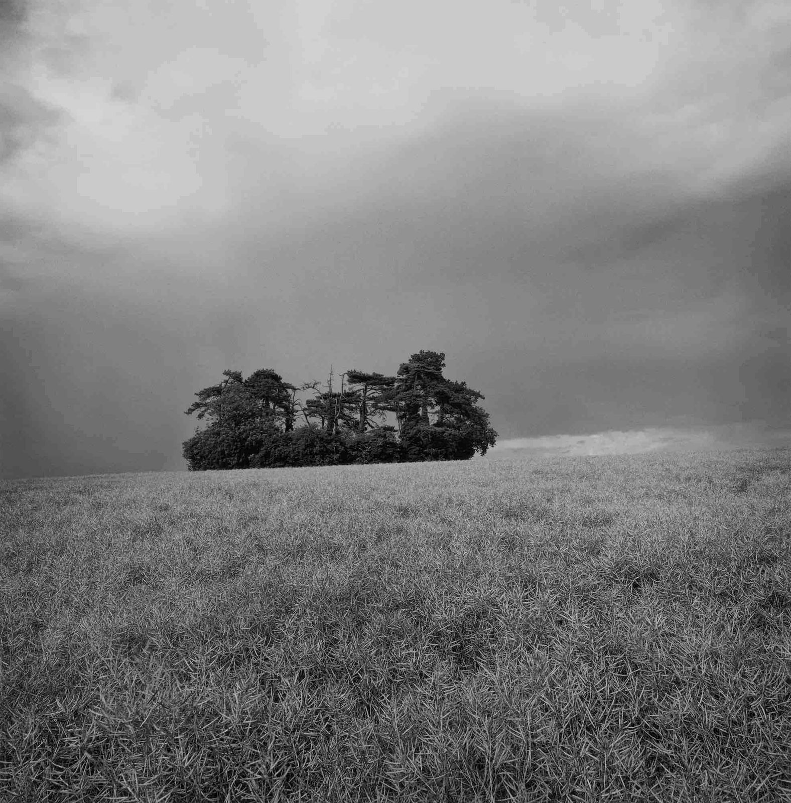 Paul Hart, August I, 2020-2024