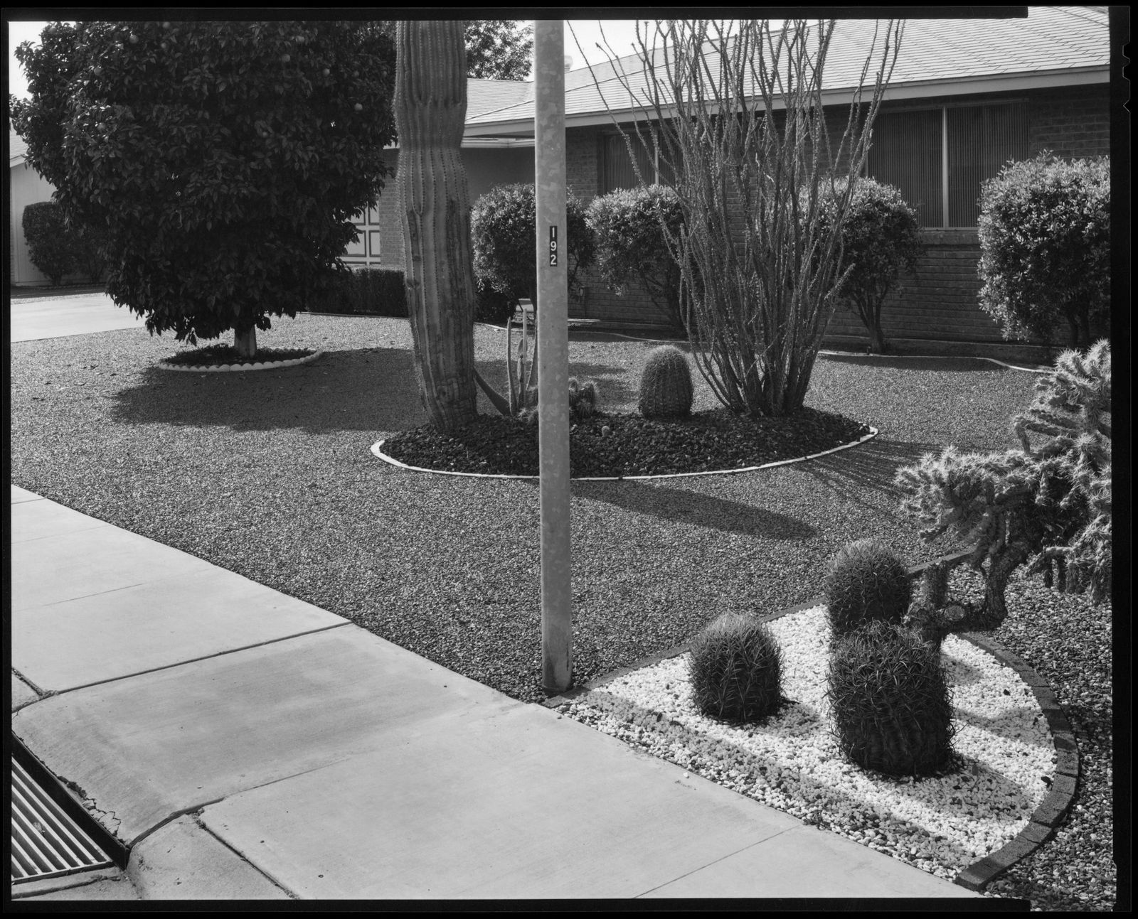 Allen A. Dutton, Sun City, Feb. 1985