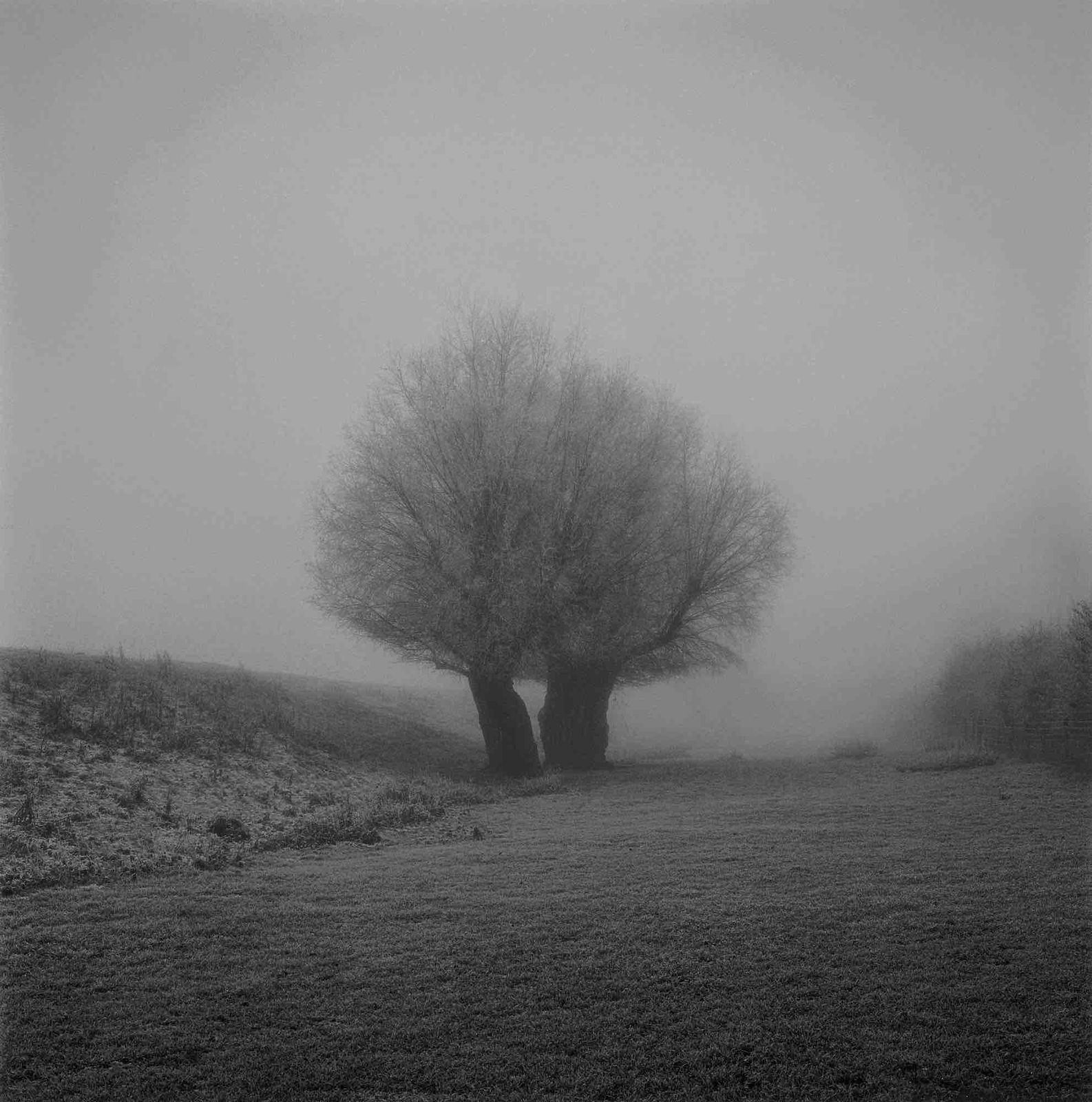 Paul Hart, January I, 2020-2024