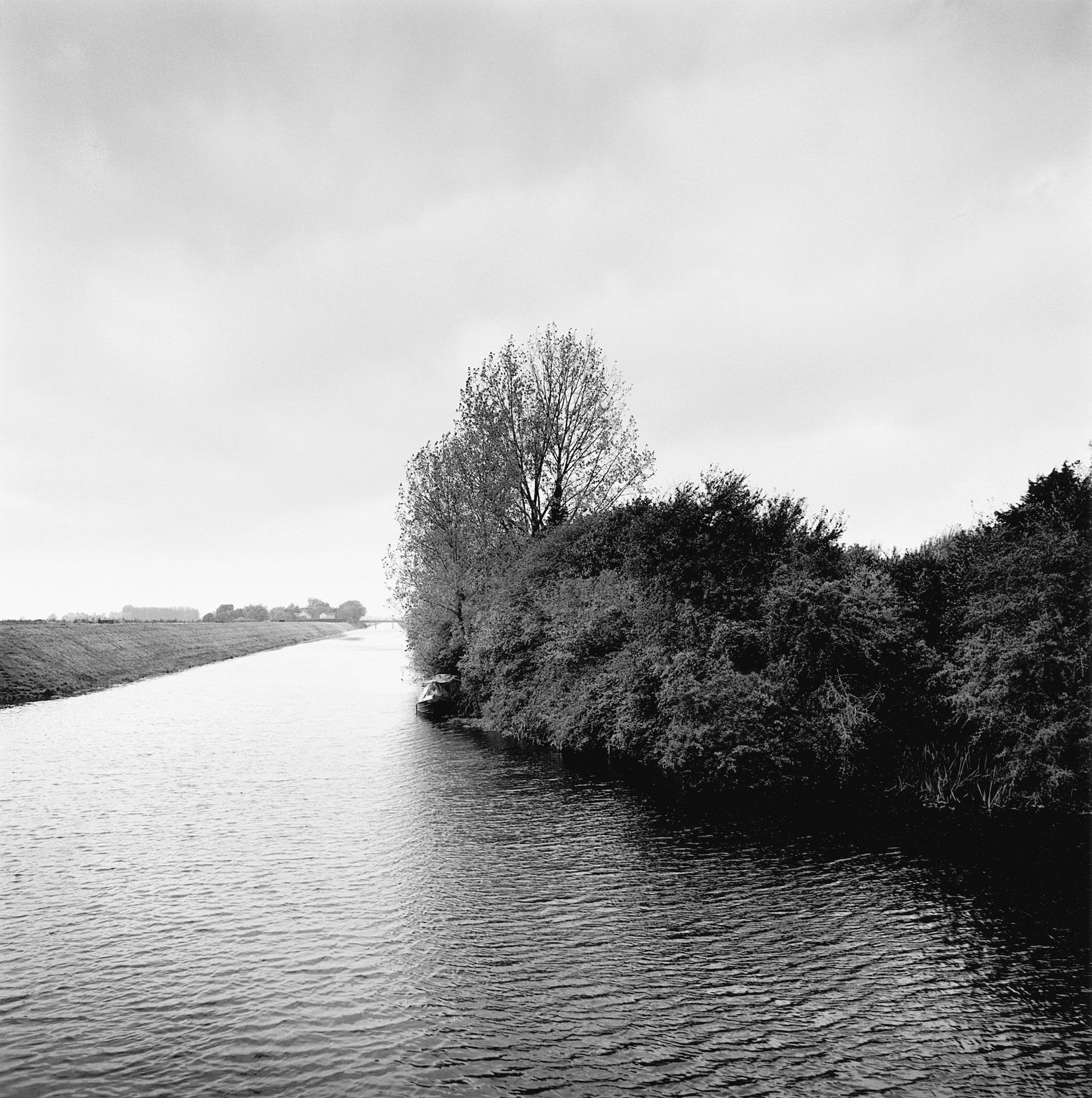 Paul Hart, Three Holes, 2017