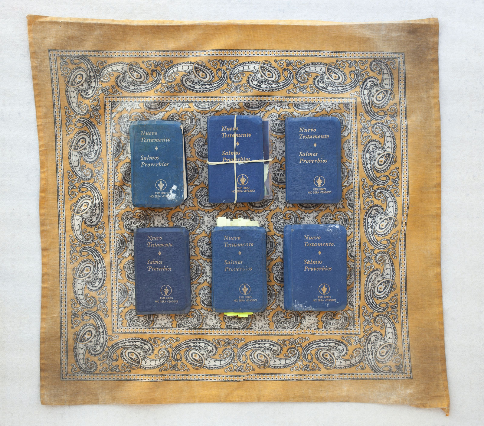 Tom Kiefer, Nuevo Testamentos, 2015