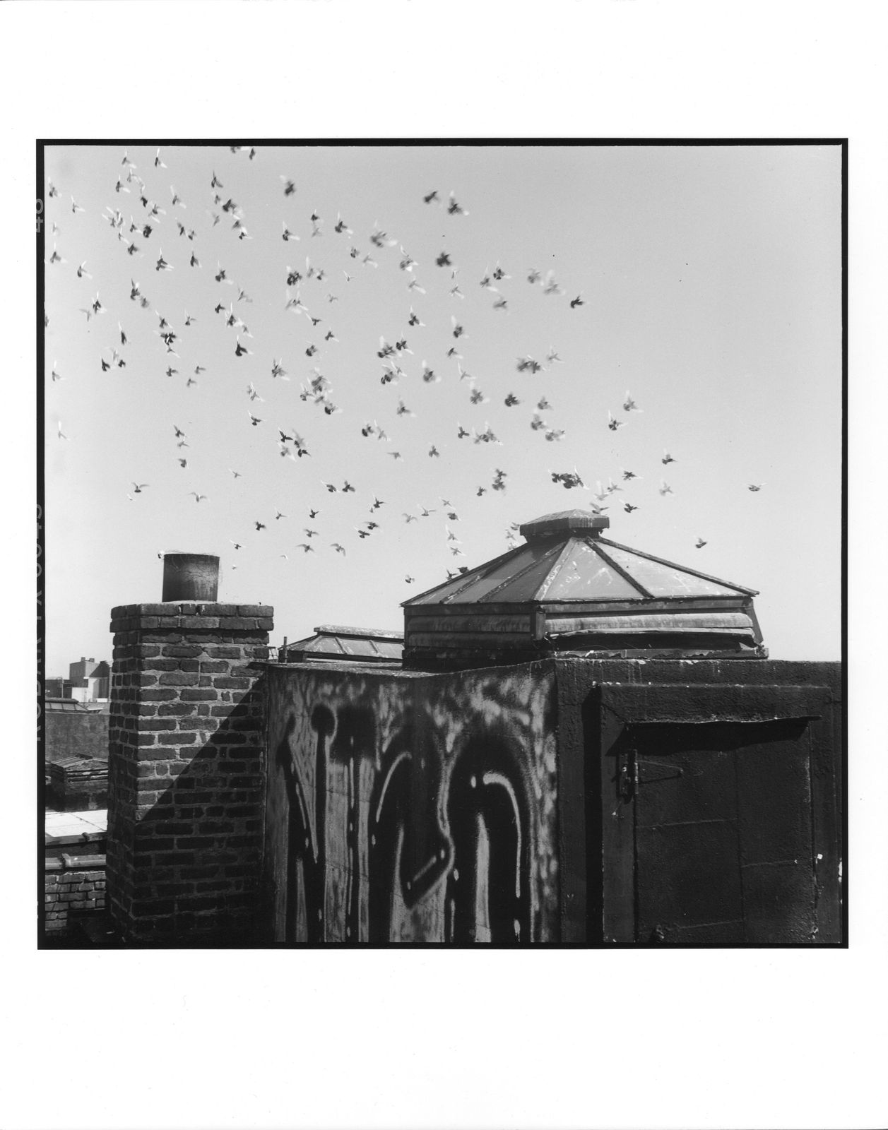 Danny Lyon, Memories of Myself (Portfolio), 2009