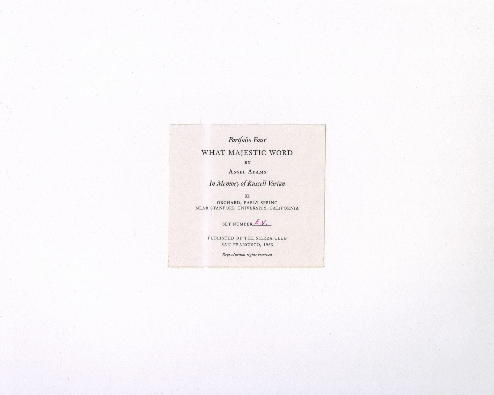 Ansel Adams, Orchard, Early Spring, Near Stanford University, California, 1940