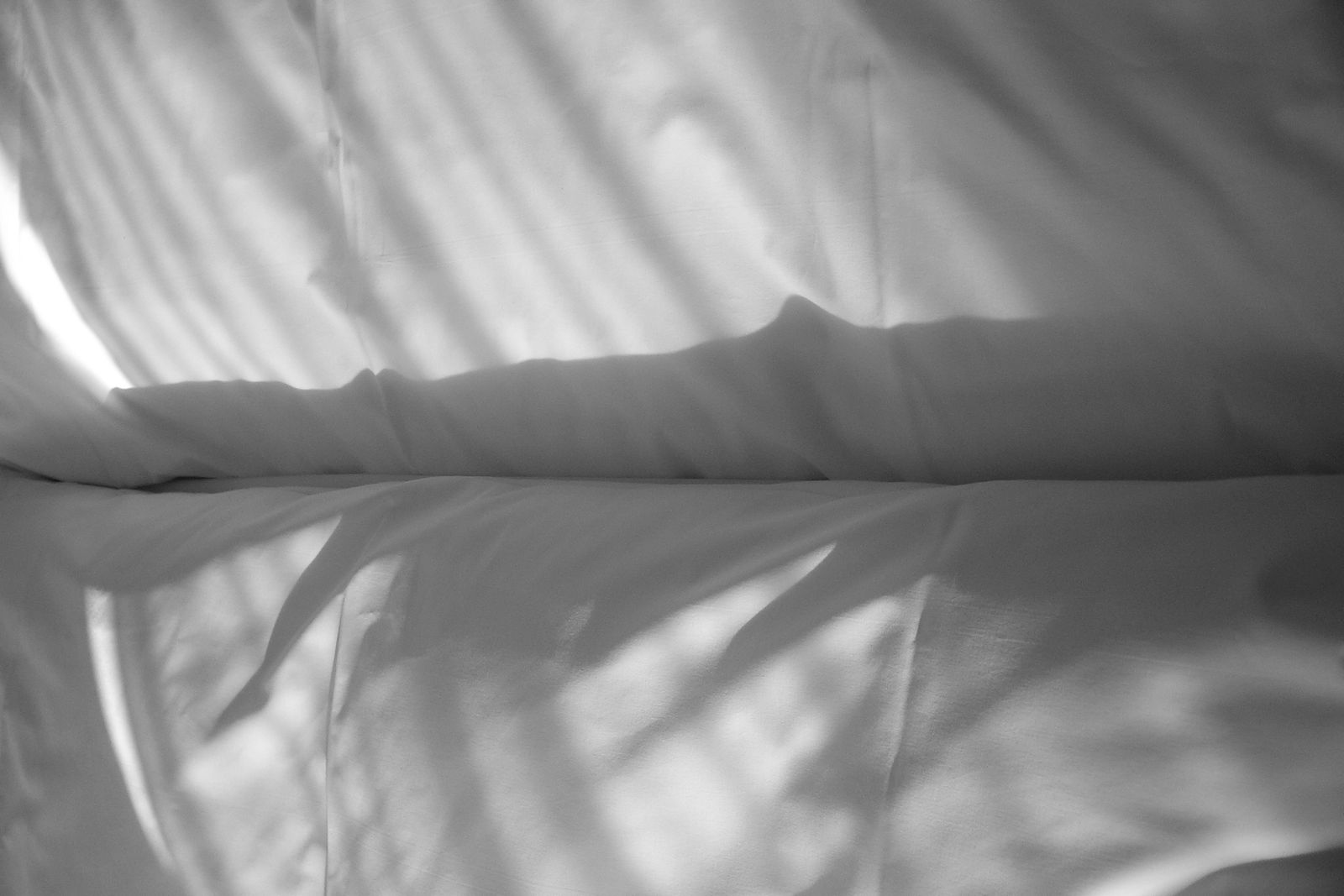 Light and Shadows. Das Triest. Vienna, 2014