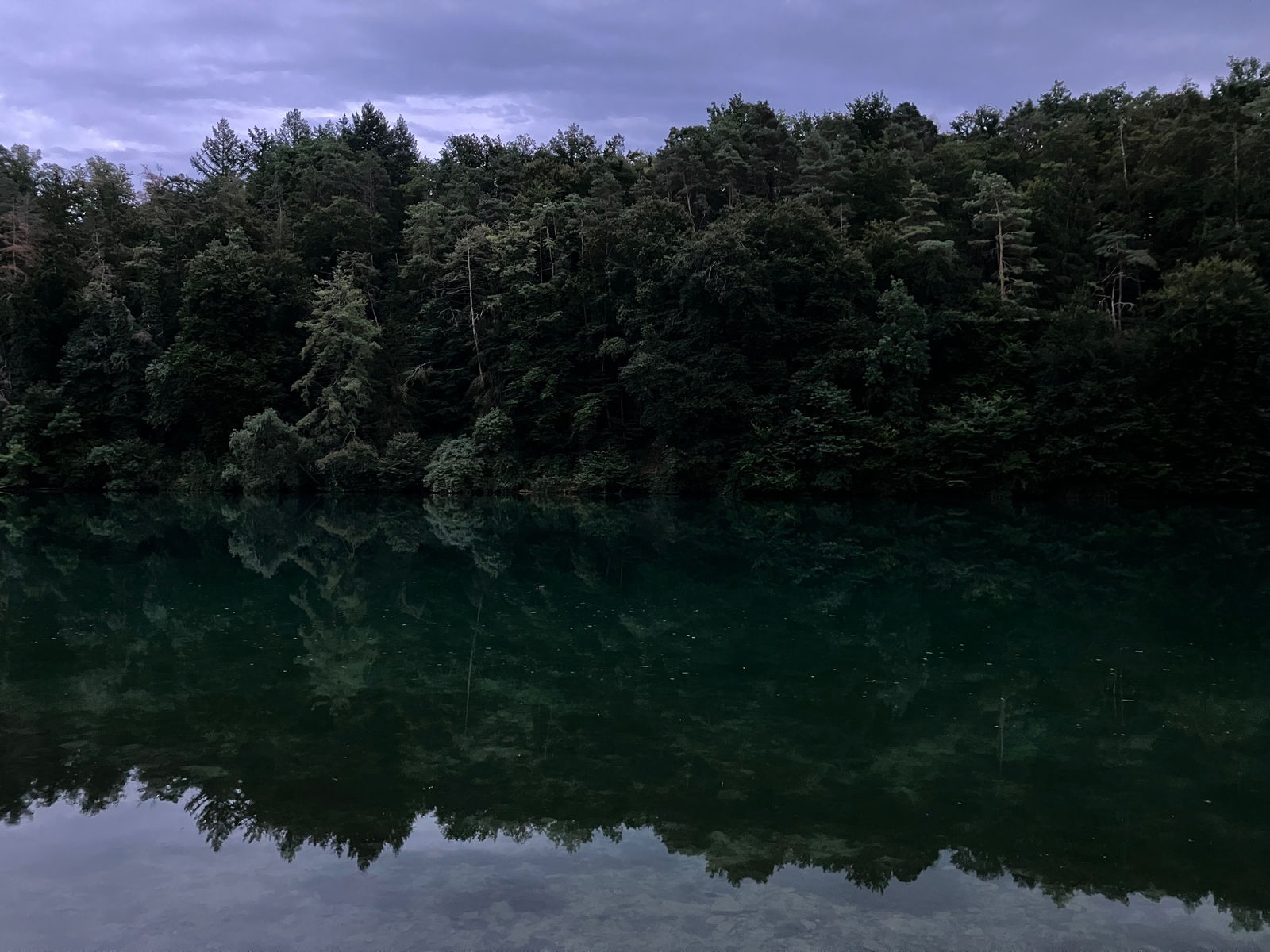 Green, December, 2025