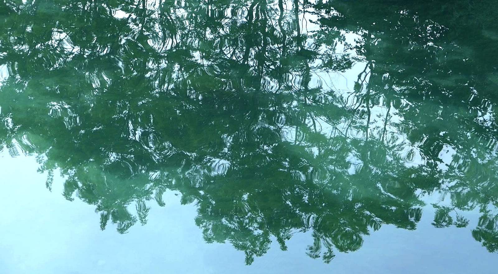 Upside Down. Rheinau. August, 2021