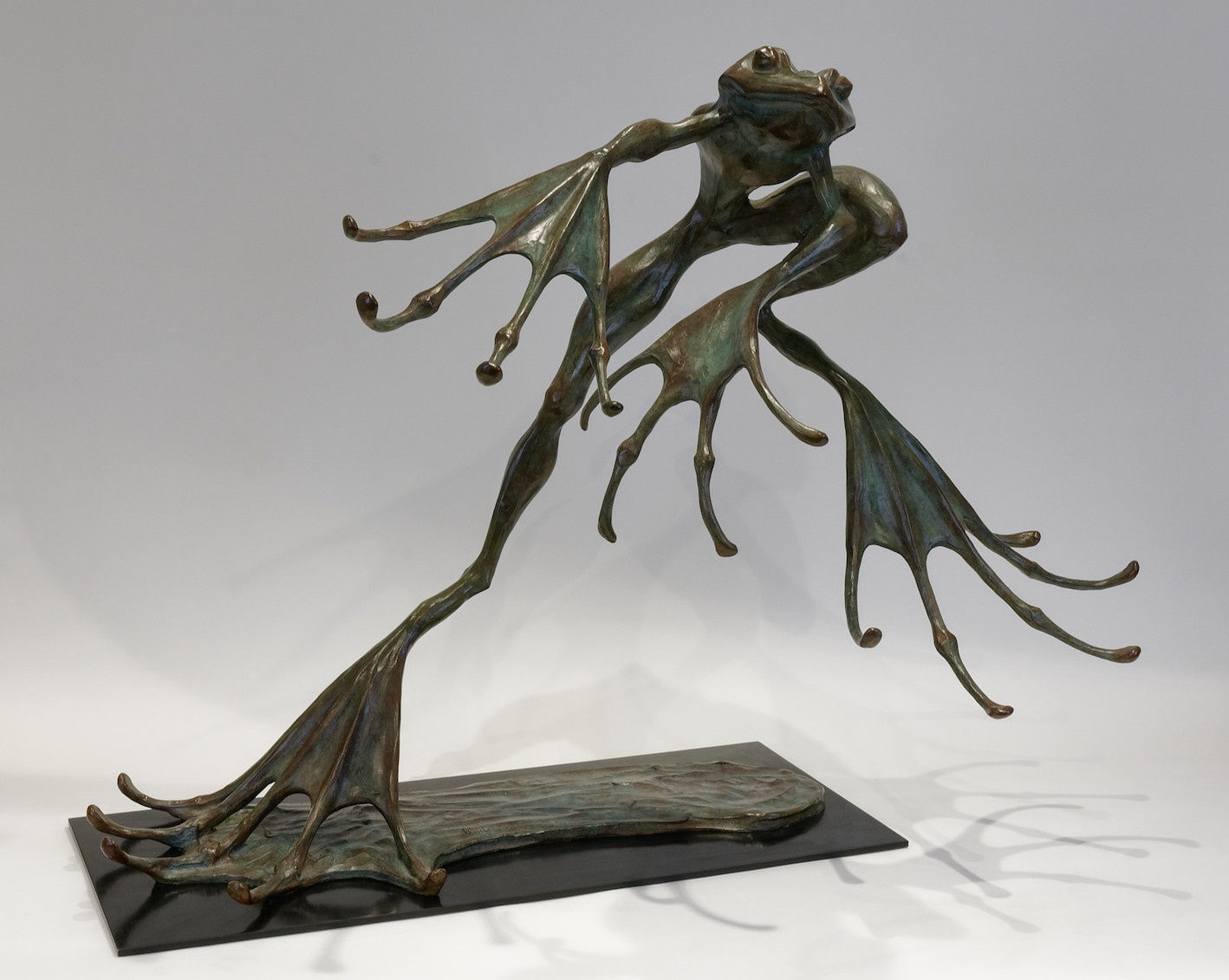 Hadrien DAVID, La grenouille 