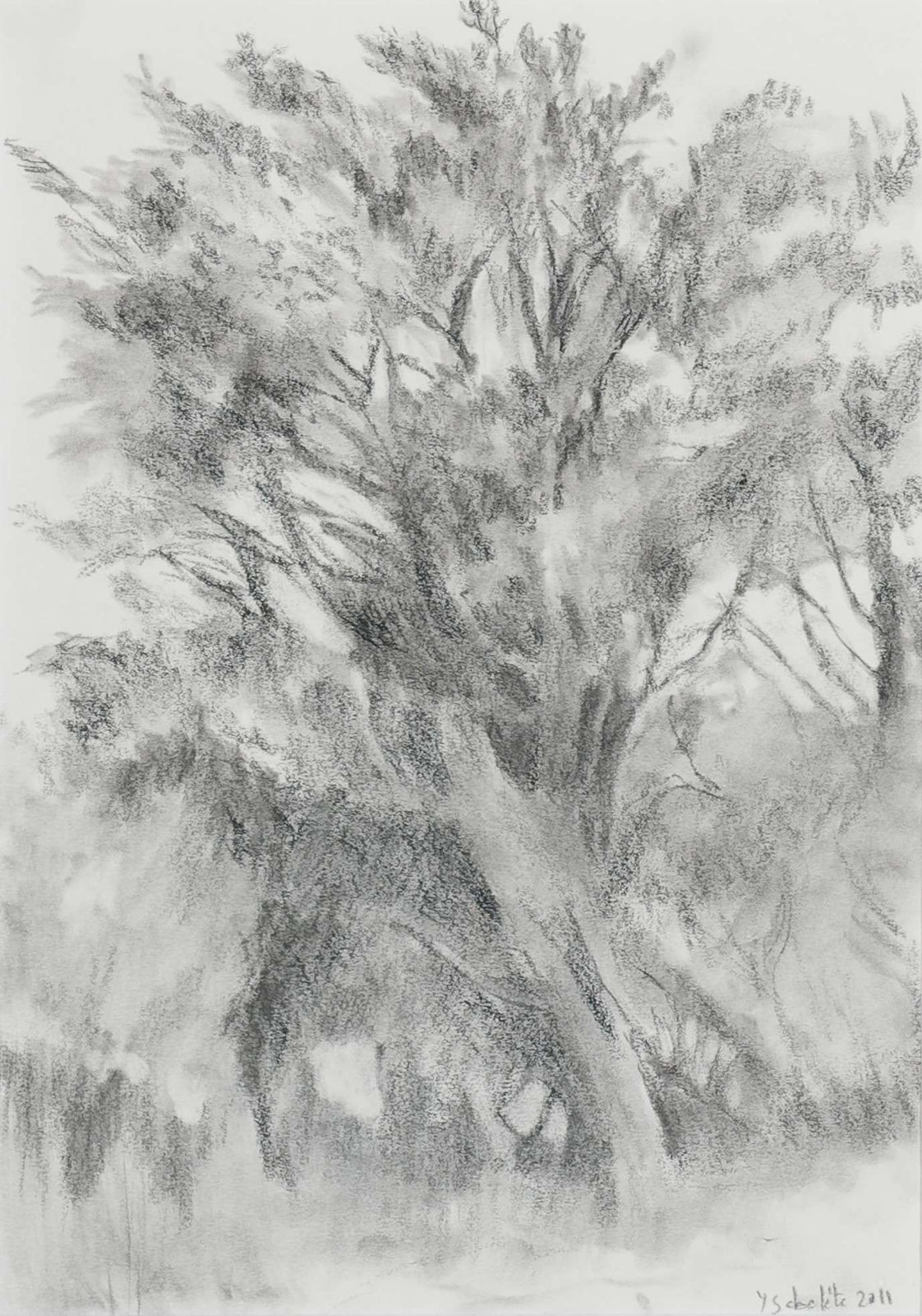 Yvonne SABELÈTE, Arbre à Kermeur, 2011