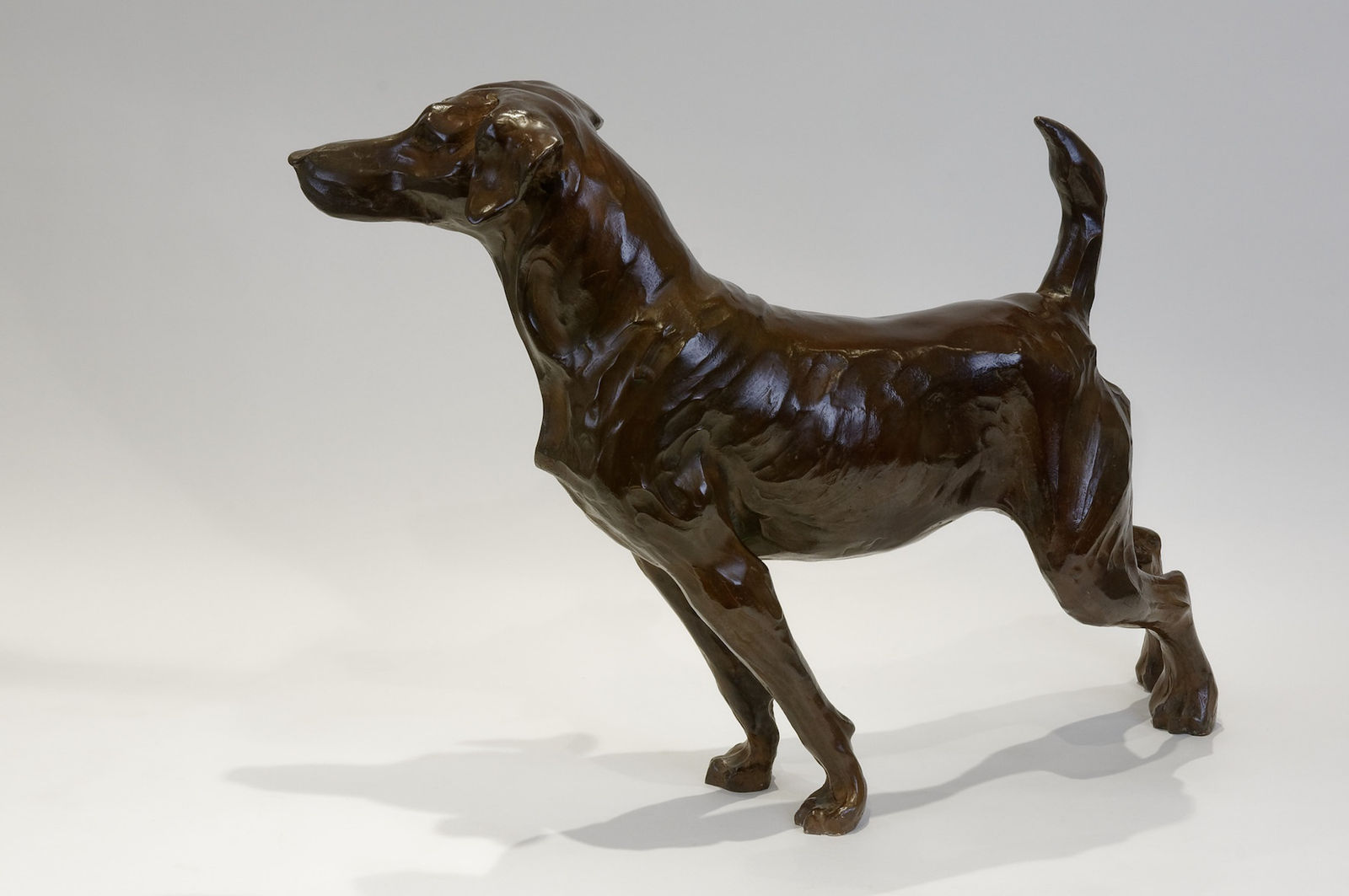 Hadrien DAVID, La chienne, dite 