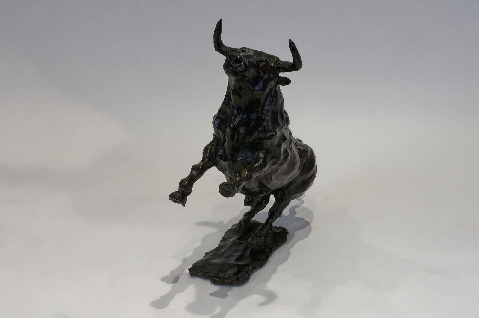 Hadrien DAVID, Le taureau, dit le Valeureux