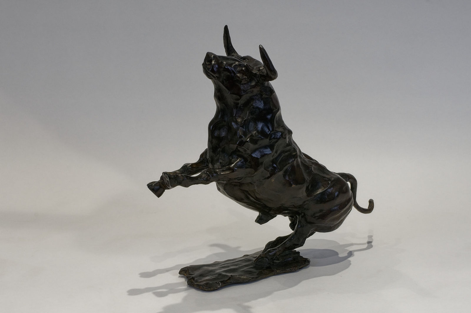 Hadrien DAVID, Le taureau, dit le Valeureux