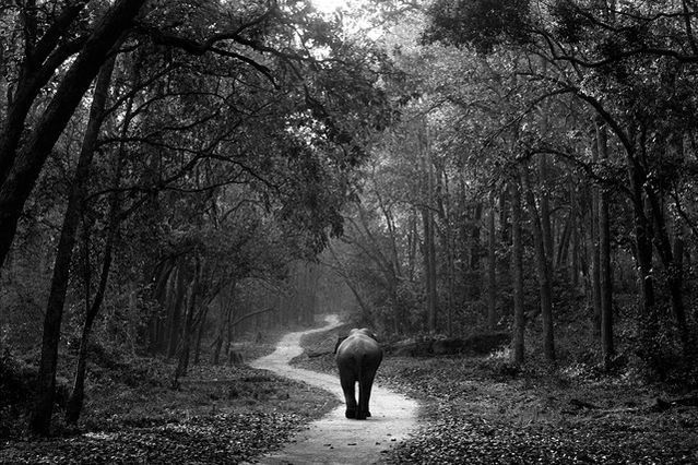 Akash Das, Lord Jim, 2003