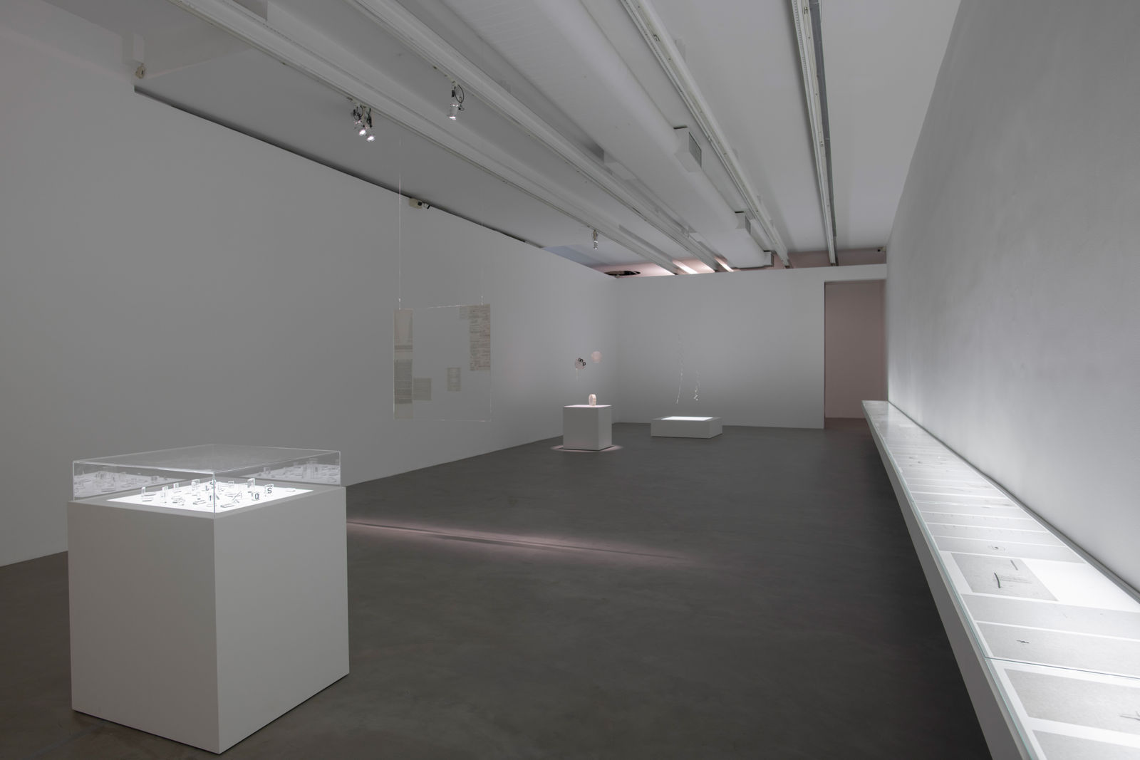 foto [photo]: Edouard Fraipont