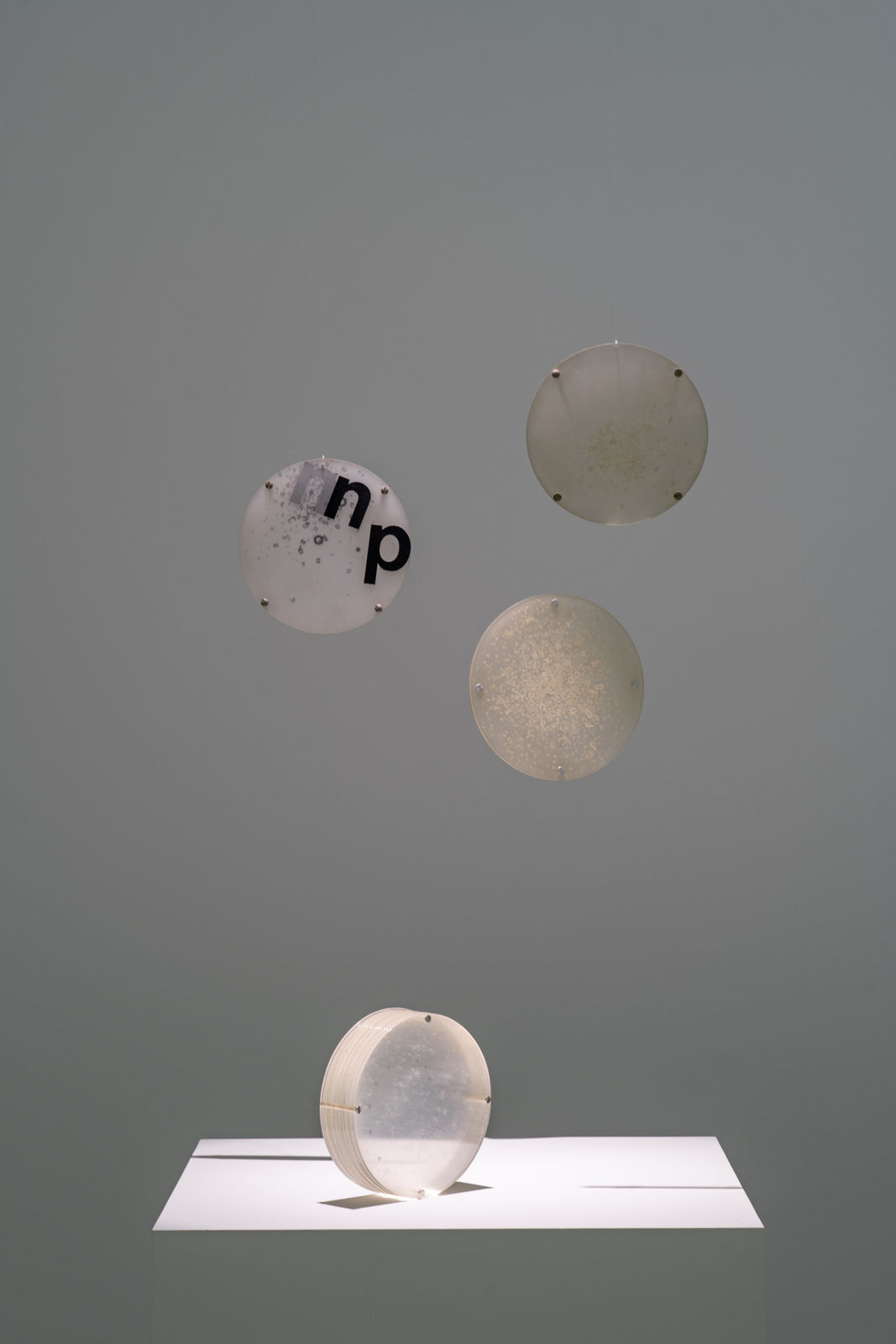 foto [photo]: Edouard Fraipont