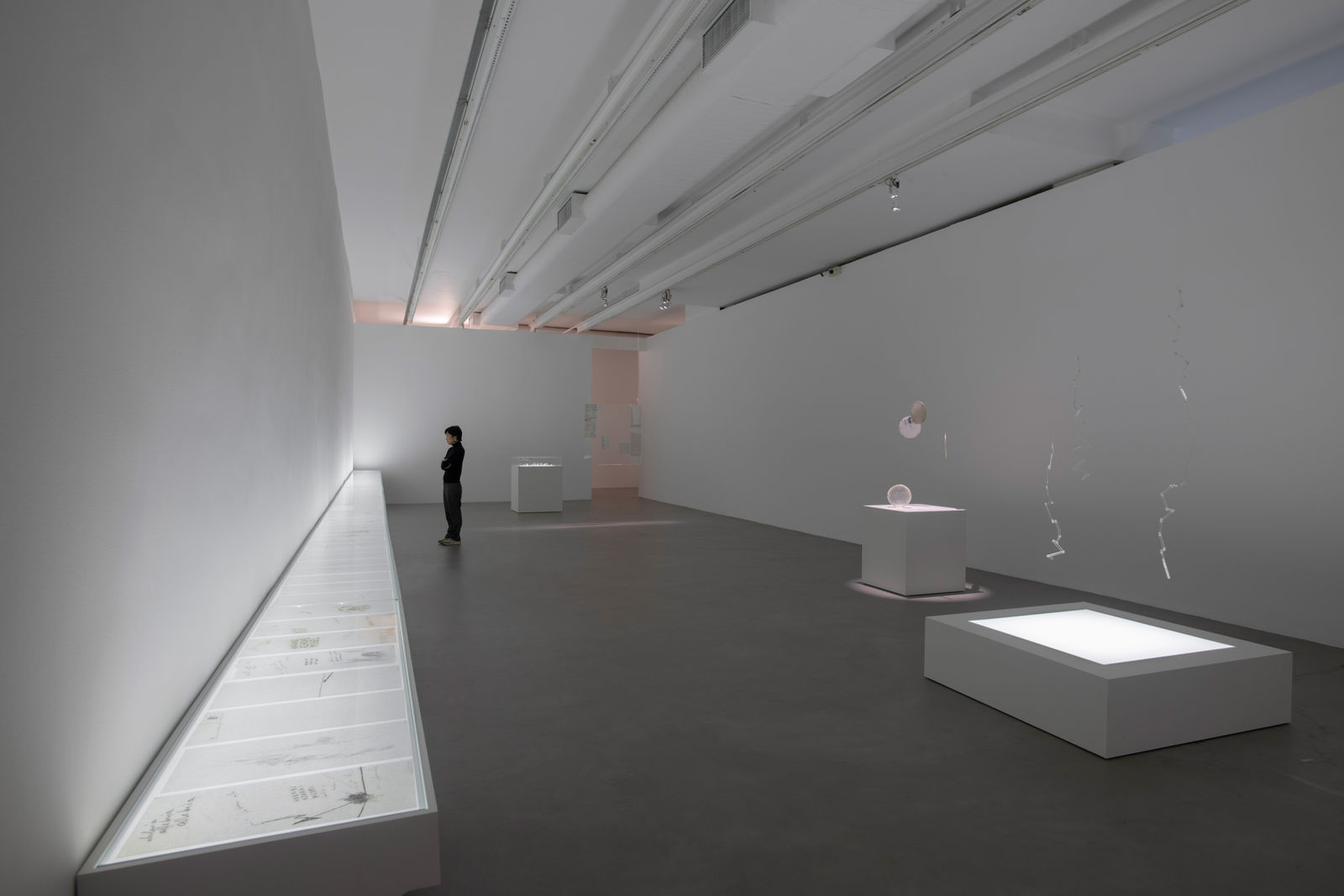 foto [photo]: Edouard Fraipont