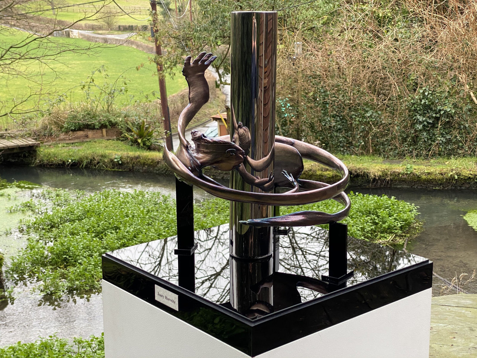 JONTY HURWITZ, Y-WOMAN