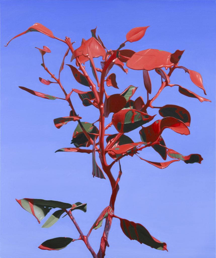 Bittersweet, 2022 Oil on linen 90 x 75cm