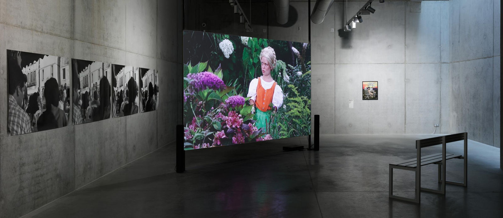 Photo : Martin Pol&aacute;k, PLATO