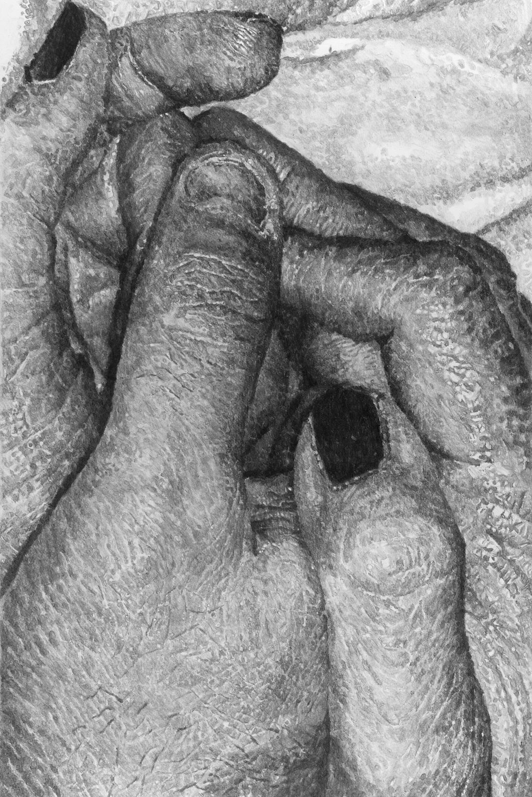 Jérôme Zonder, Étude pour un portrait de Pierre-François #100, 2024