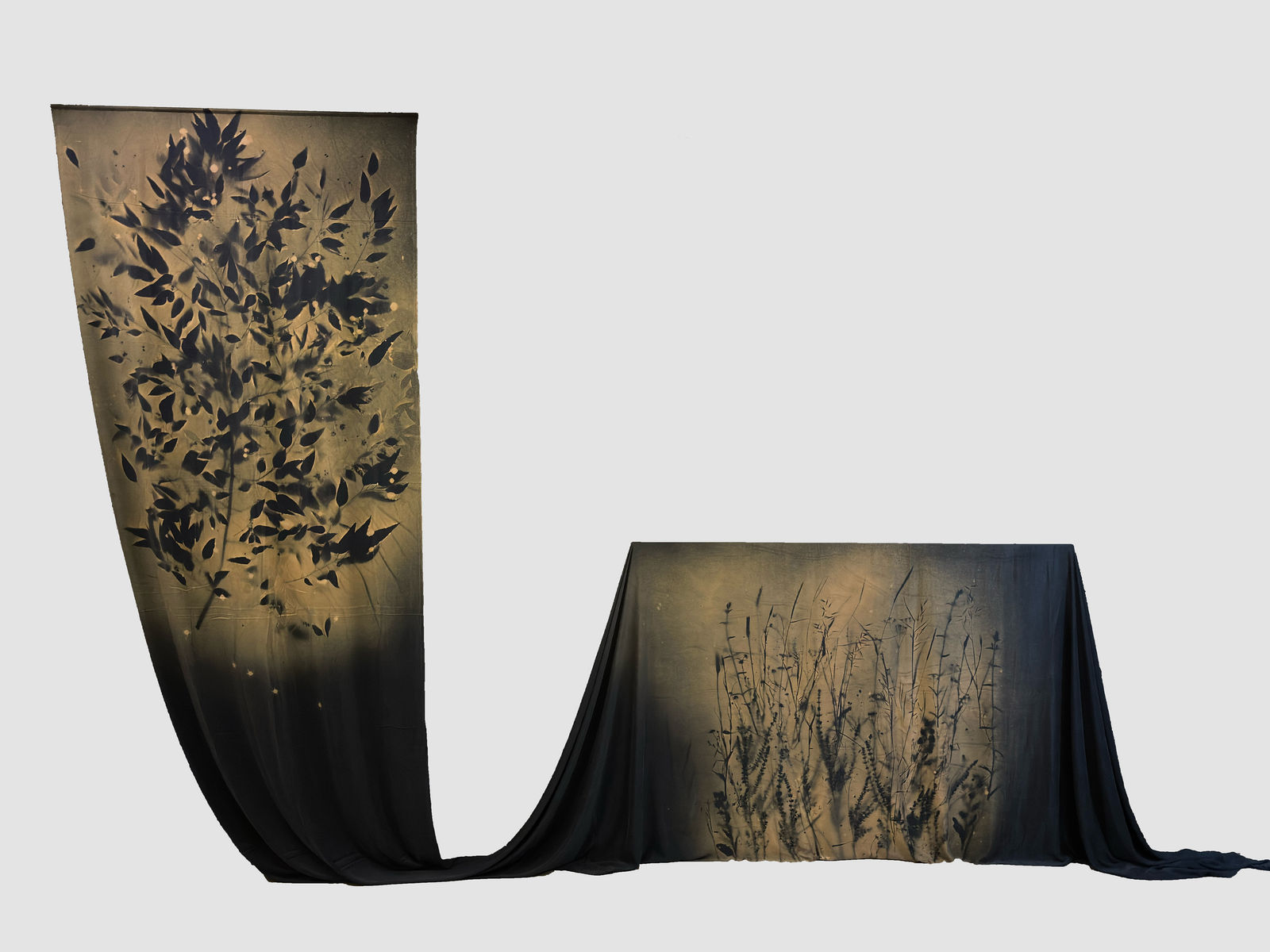 FULYA ÇETİN, Flora Spontanea and Eucalyptus, 2025