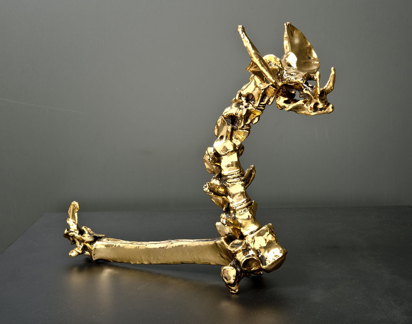 EKİN SAÇLIOĞLU, Nummulites Series, 2014