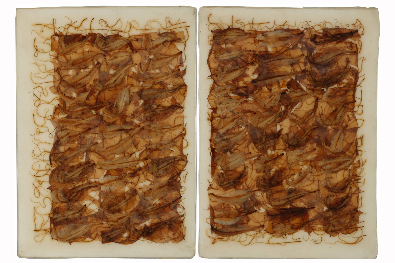 TAYFUN ERDOĞMUŞ, Untitled, 2010