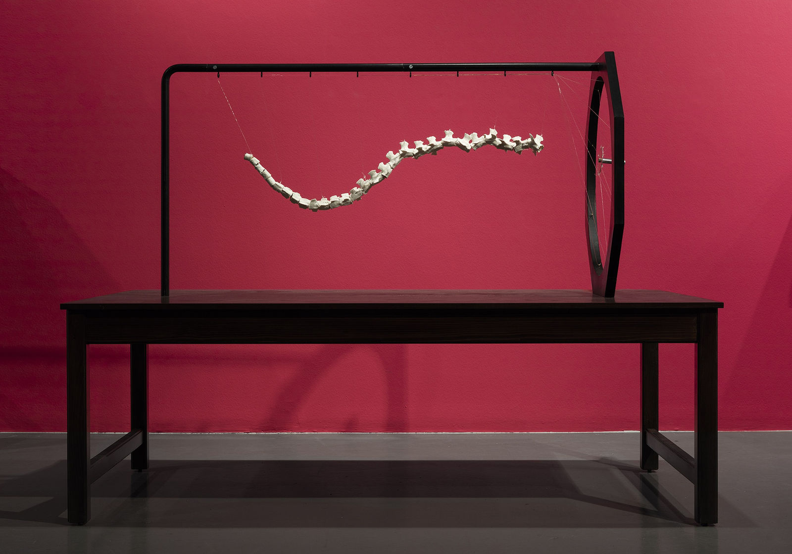 GÖKÇEN DİLEK ACAY, Imaginary Animal , 2016