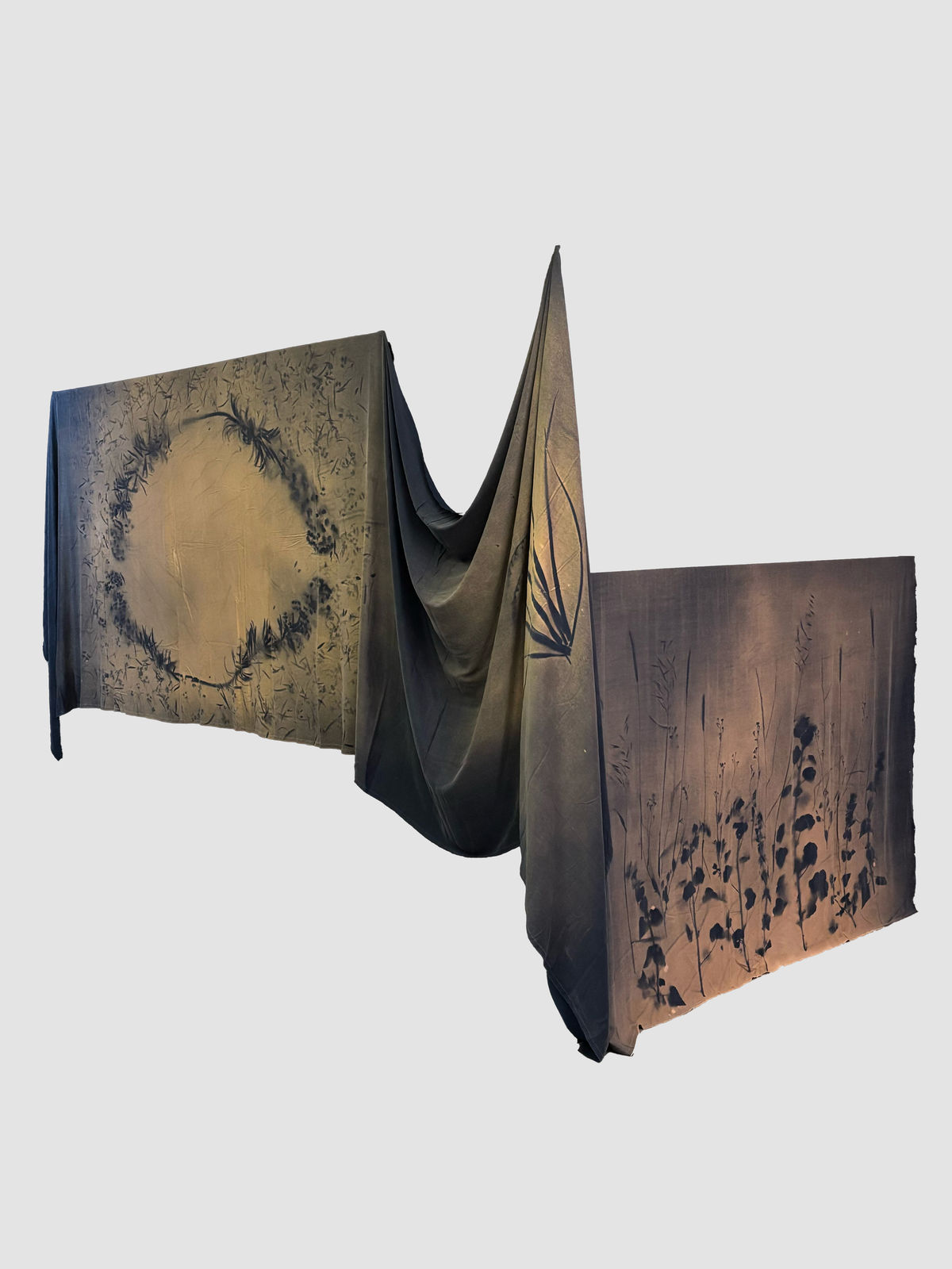 FULYA ÇETİN, Flora Spontanea, 2025