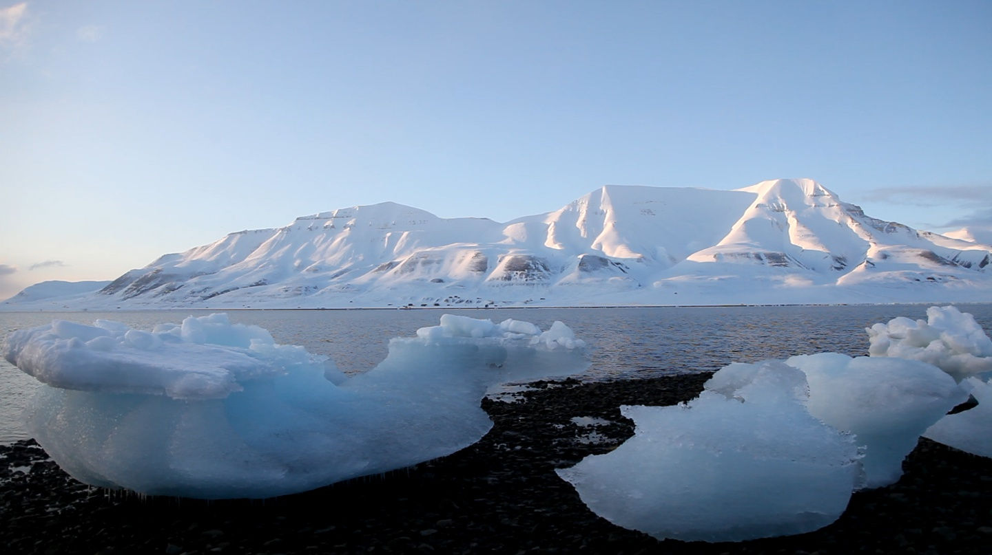 ALİ KAZMA, Safe (Resistance Series), 2015