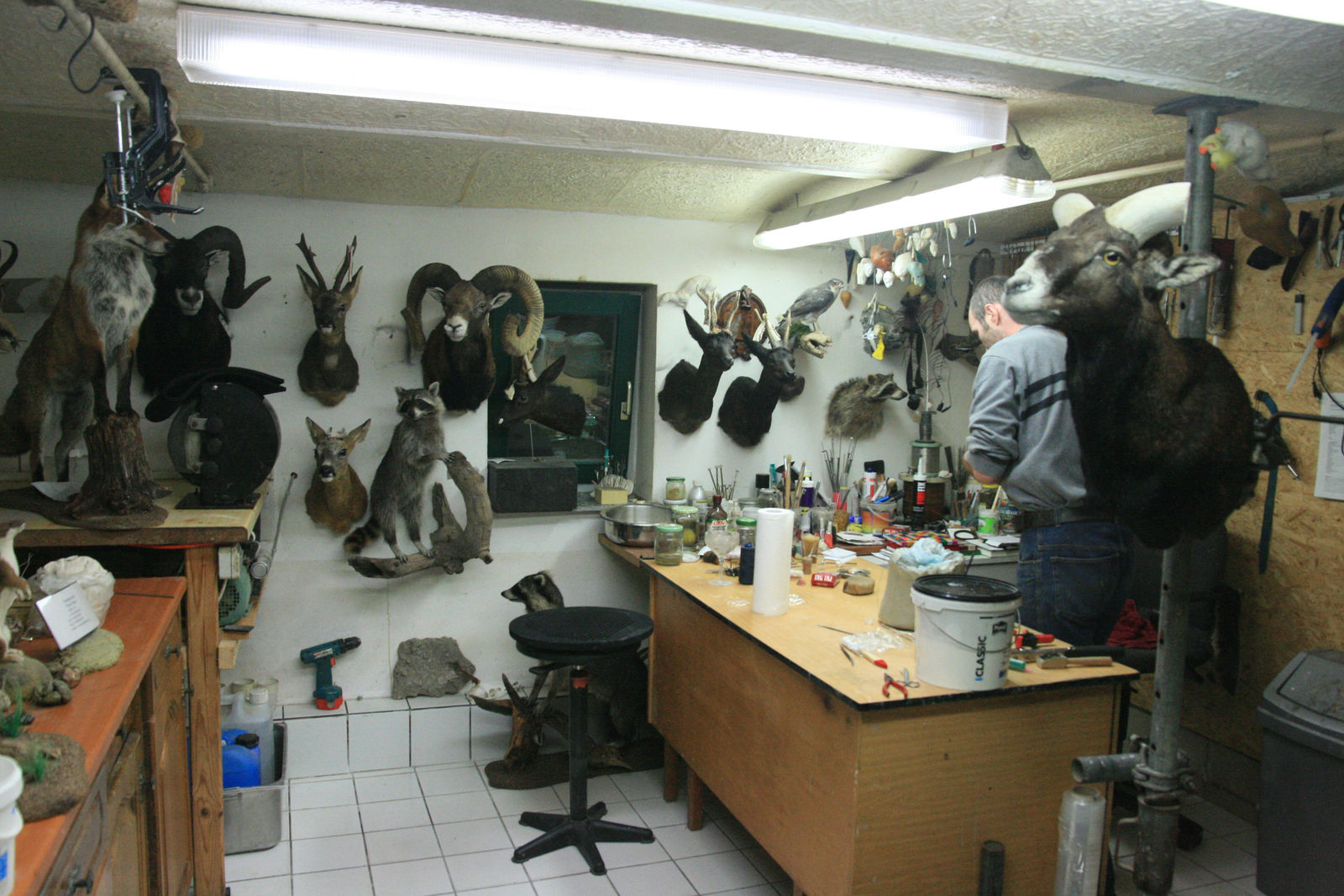 ALİ KAZMA, Taxidermist (Obstructions Series), 2010